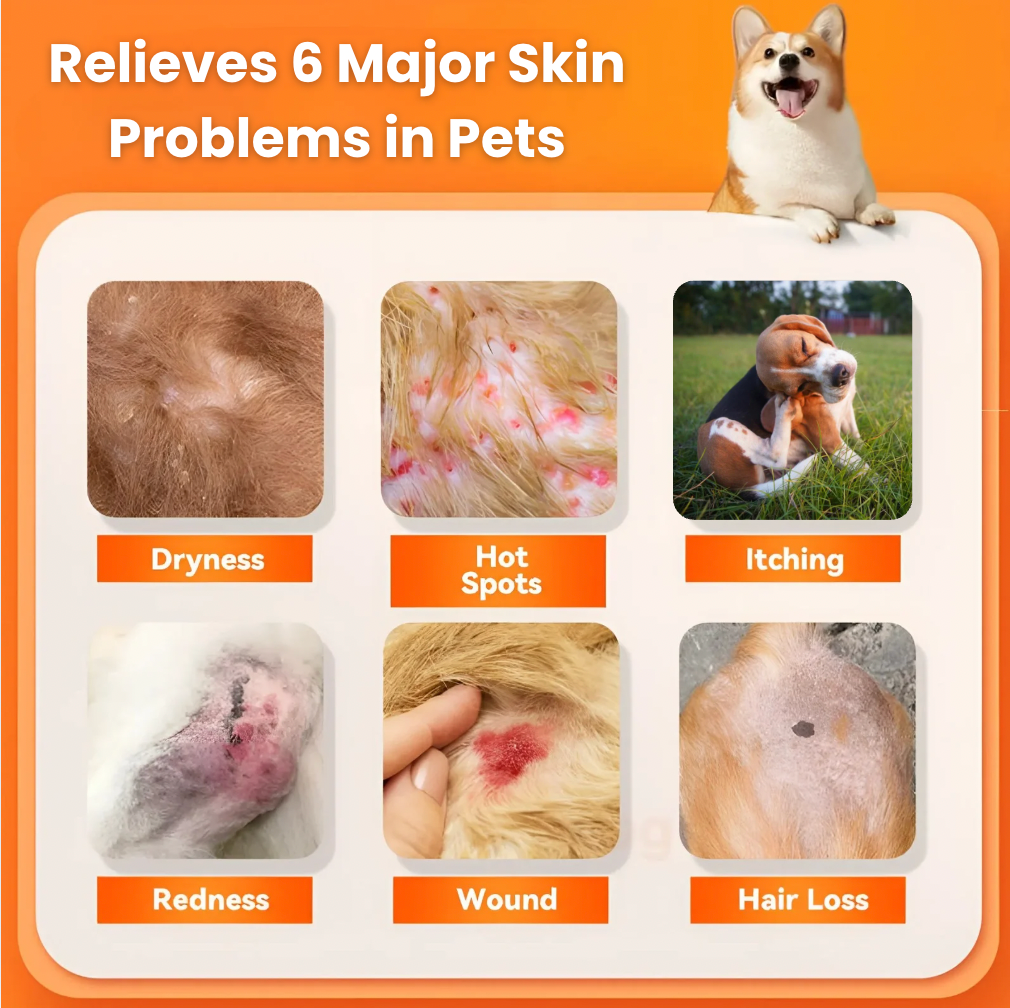 Aevitalis™ Hot Spot & Wound Spray